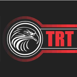 Executive Pro Active Security